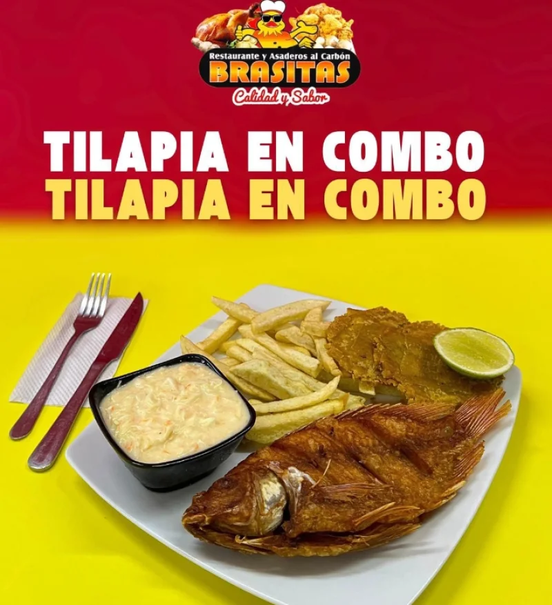 Tilapia