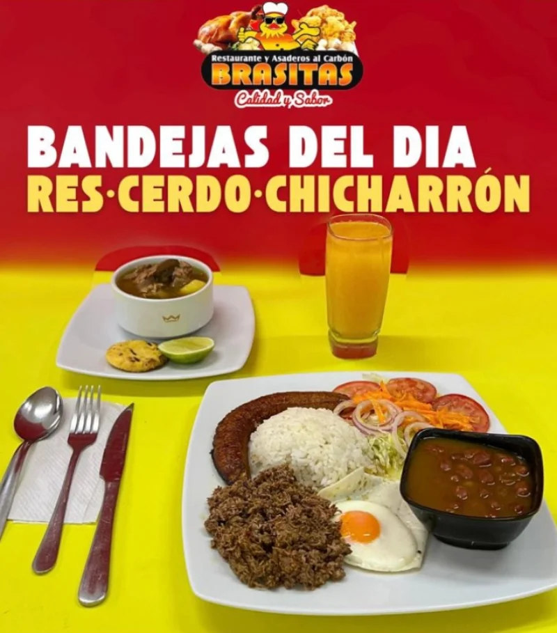 Bandeja Molida